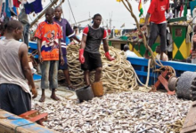 Manage the fishing industry sustainably for economic growth, Minister